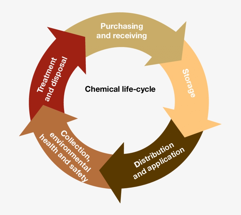 Functions Of The Ministry Of Health In The Chemicals - Slogan On Risk Management, transparent png