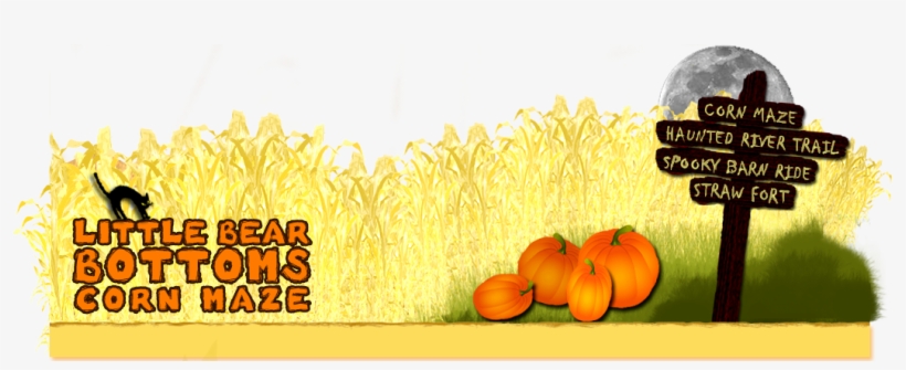 Pumpkin, transparent png