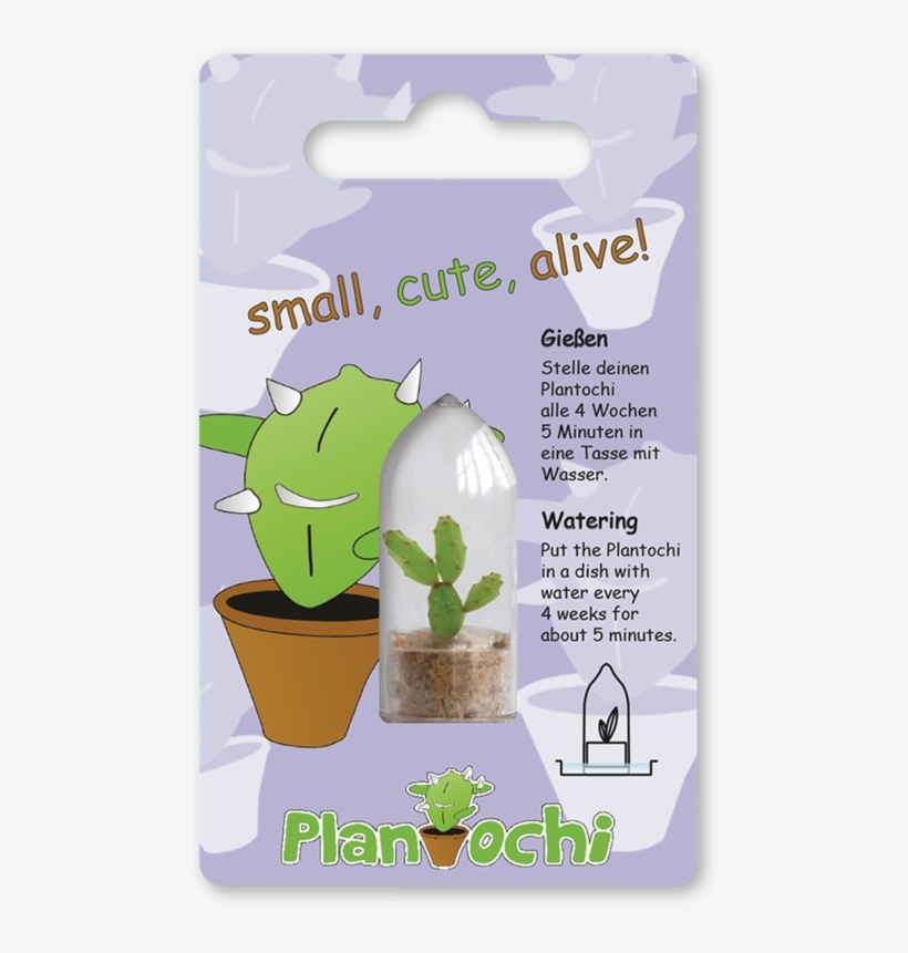 Flowerpot, transparent png