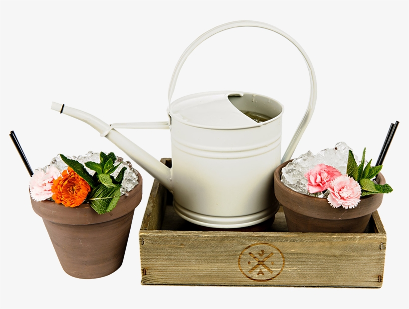 Bulls Head Repton Cocktails, transparent png