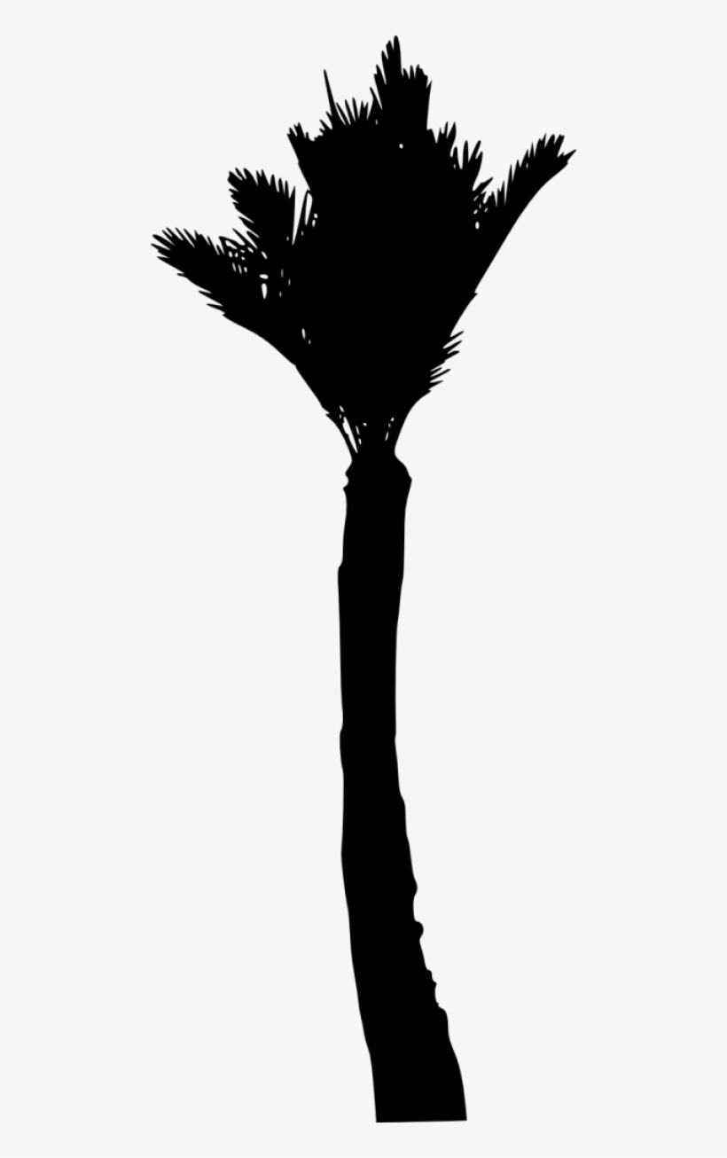 Free Png Palm Tree Silhouette Png - Silhouette, transparent png
