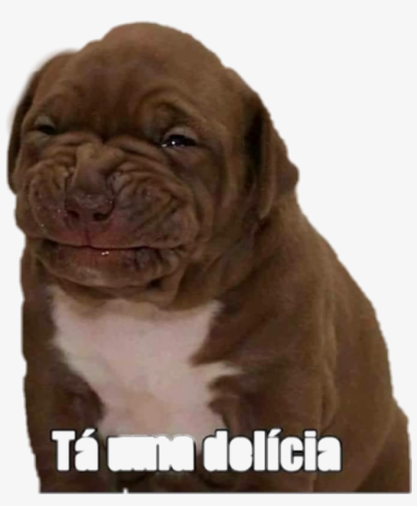 Memes Engraçados Em Casa, transparent png