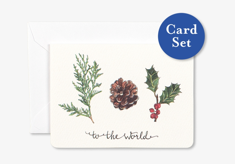 Nature's Joy Mini Card Set Of - Mexican Pinyon, transparent png