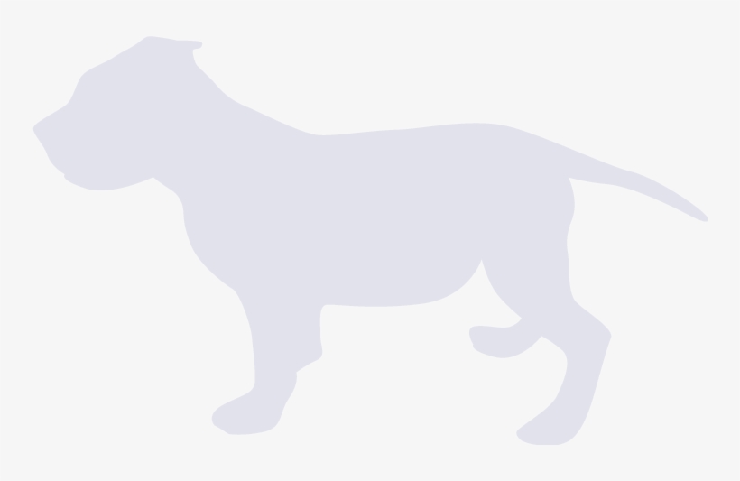 Cachorro Fondo - Dogo Argentino, transparent png