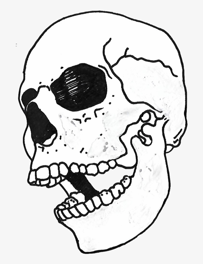 Skull Copy, transparent png