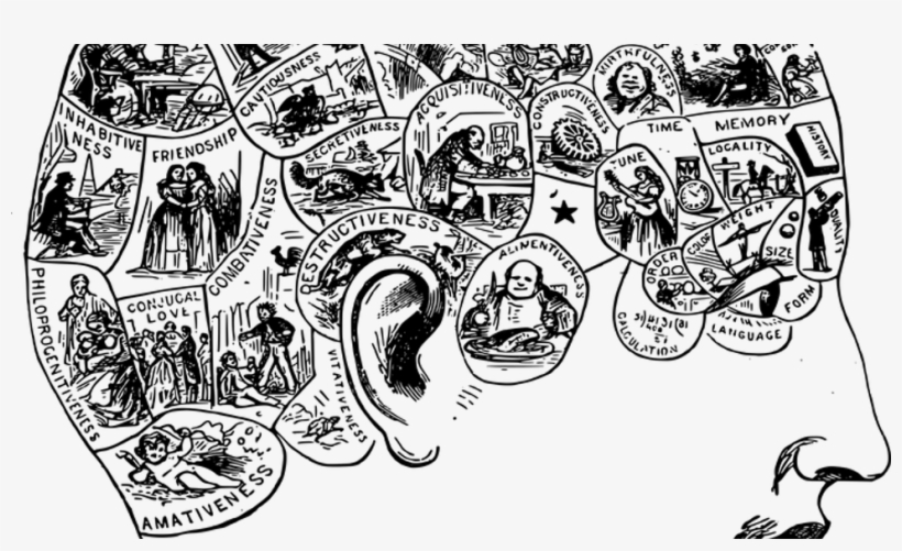 970 X 546 9 - Mind In Head Png, transparent png