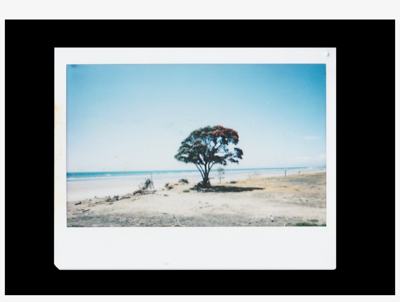 Beach, transparent png