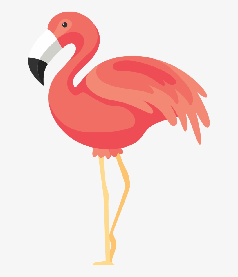 626 X 874 5 - Flamingo Png, transparent png