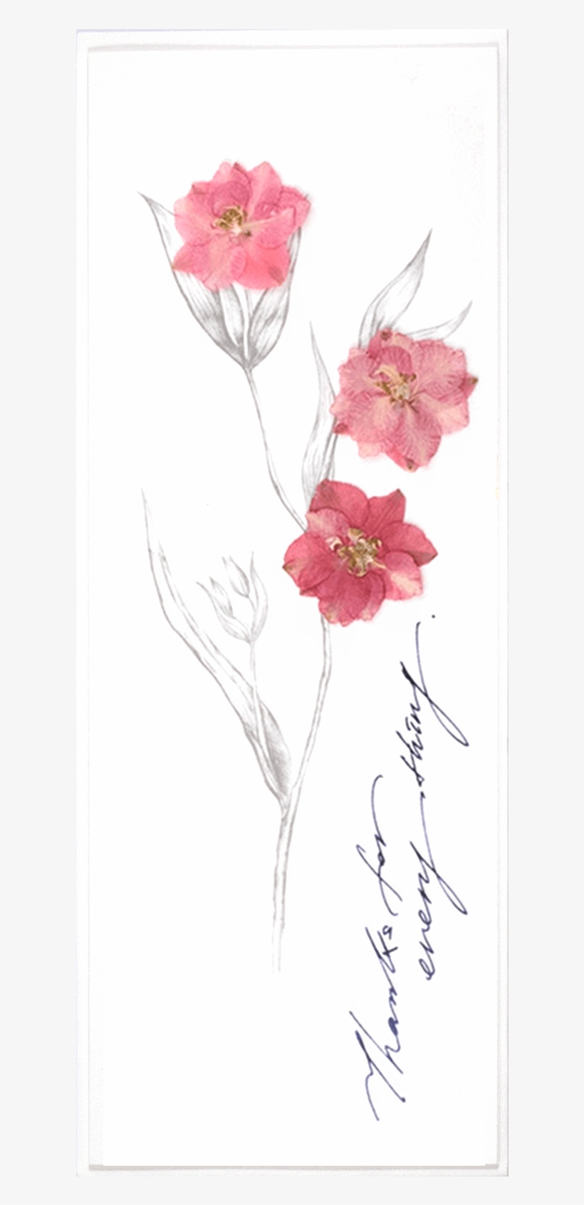 Pink Flower Sketch - Bouquet, transparent png