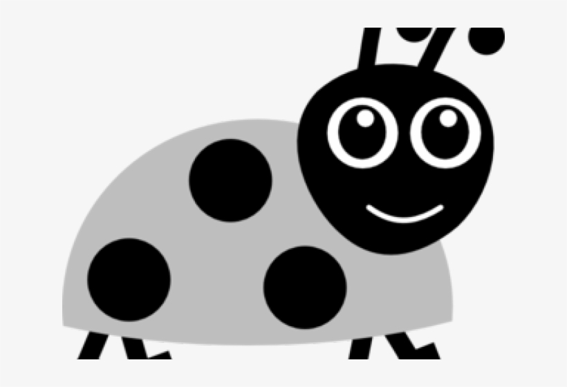 Ladybird Clipart Black And White, transparent png