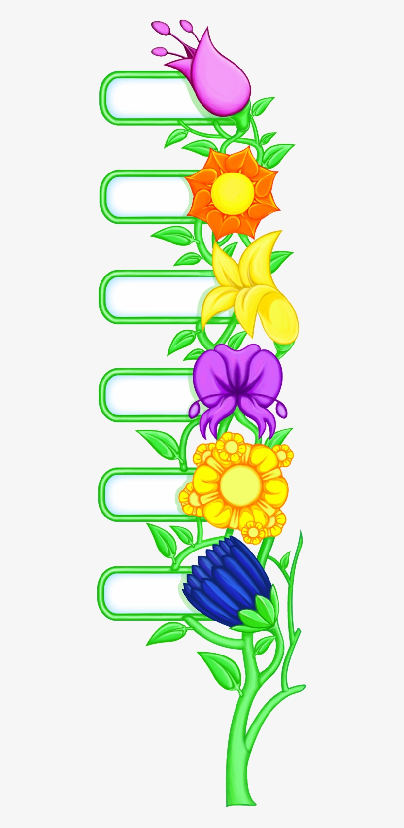 Petal Vector Flower, transparent png