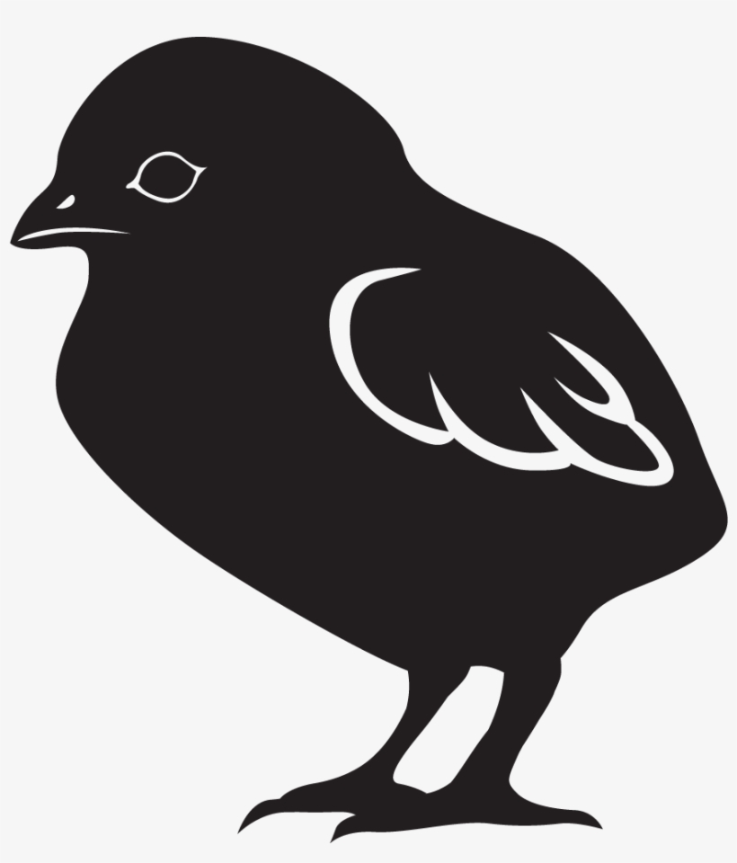 Chick Starter / Grower Is A "complete" Formula For - Old World Flycatcher, transparent png