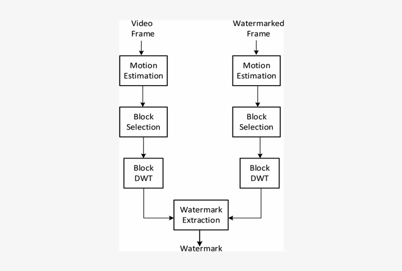 Watermark Extraction Algorithm - Diagram, transparent png