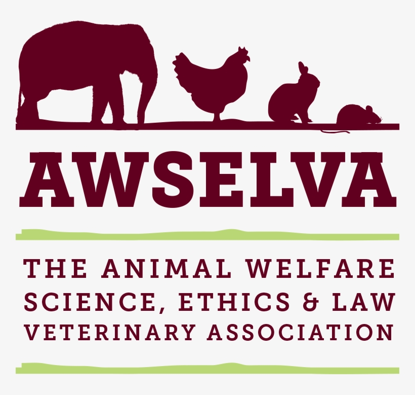 8 Aug - Chicken, transparent png