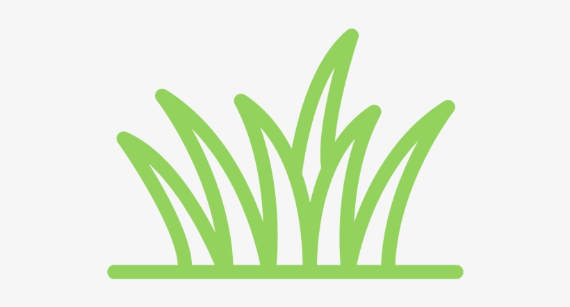 Raw & Organic 5 Grass Blend - French Words That Start With H, transparent png