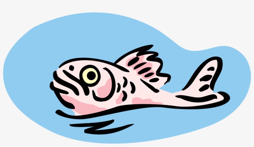 Vector Illustration Of Surfacing Fish Swims On Water, transparent png