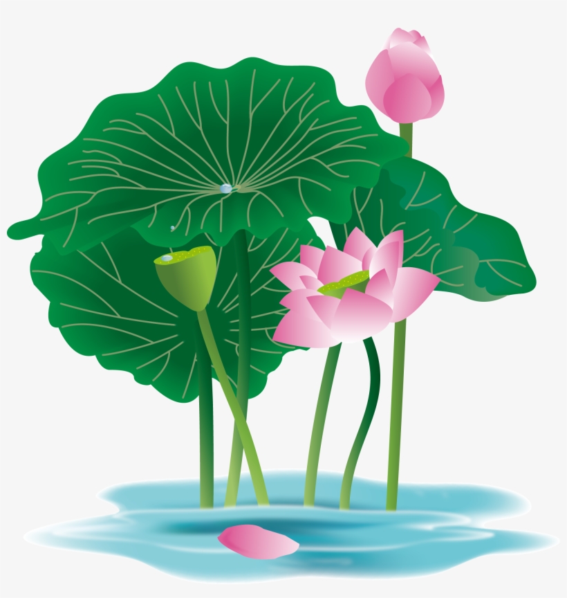 Hand Painted Plant Flower Water Lily Png And Vector - Anthurium, transparent png