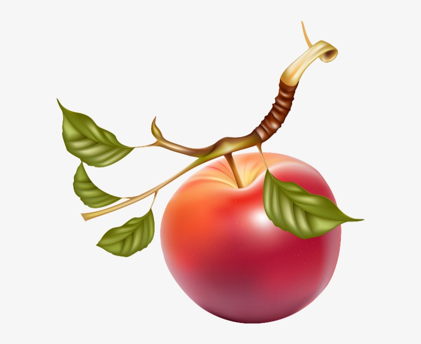 Romantic Apple, transparent png