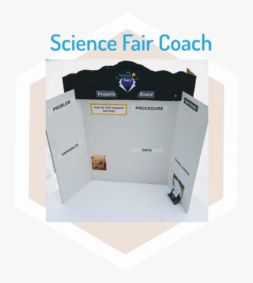 Help With Science Fair - Carton, transparent png