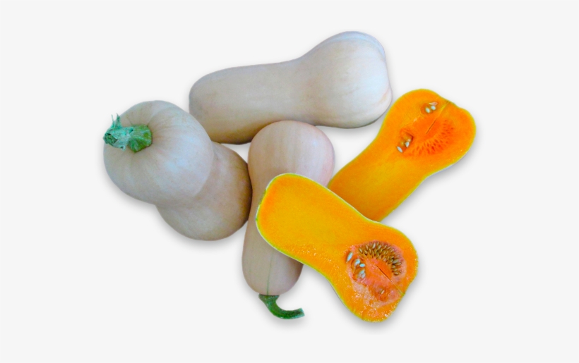Calabaza - Butternut Squash, transparent png