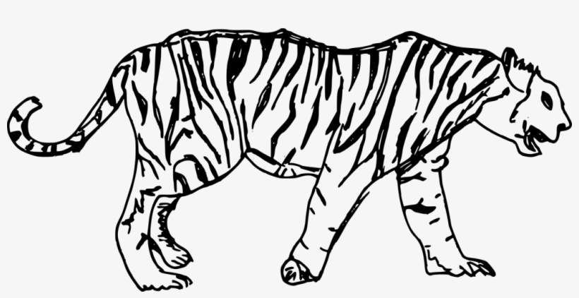 Png File Size, transparent png
