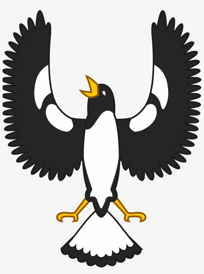 Beak Clipart Shrike - Piping Shrike Clip Art, transparent png