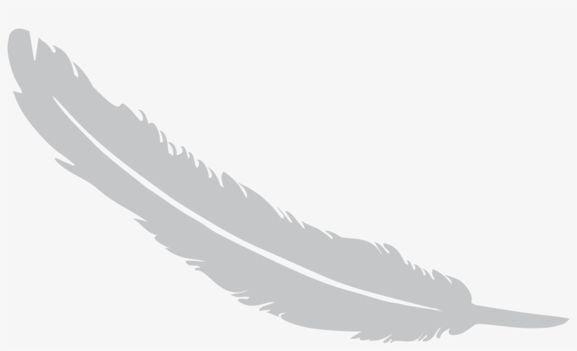 Feather Png - Illustration, transparent png
