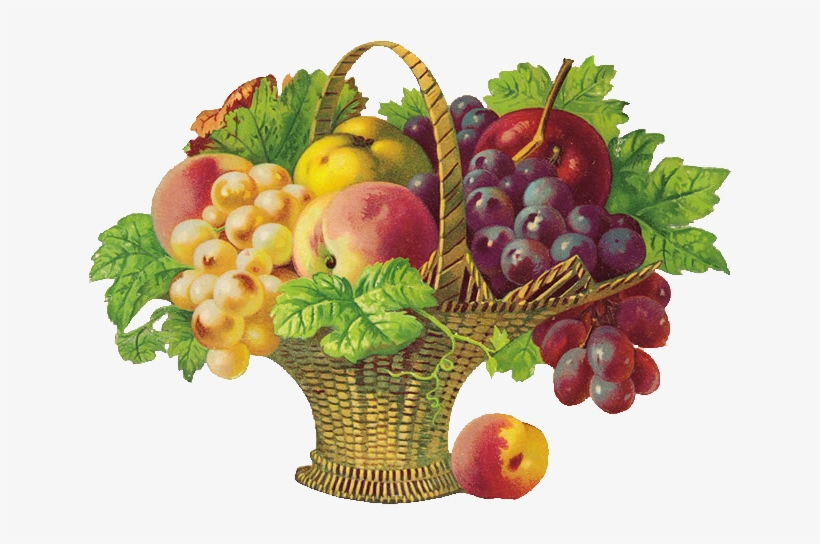 Picture Transparent Stock Basket Of Png D Coupage Fruits - Get Well Soon Fruits, transparent png