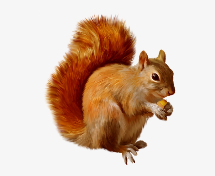 534 X 600 5 - Animals Images Hd Png, transparent png