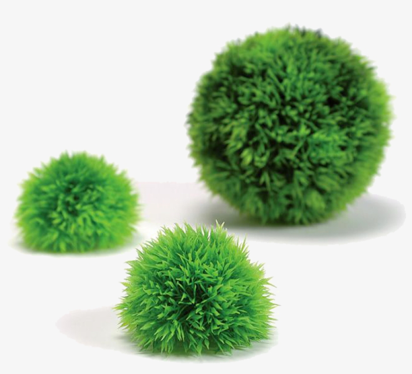 Biorb Decorations, transparent png