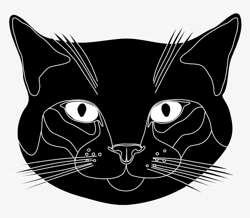 Medium Image - Cat, transparent png