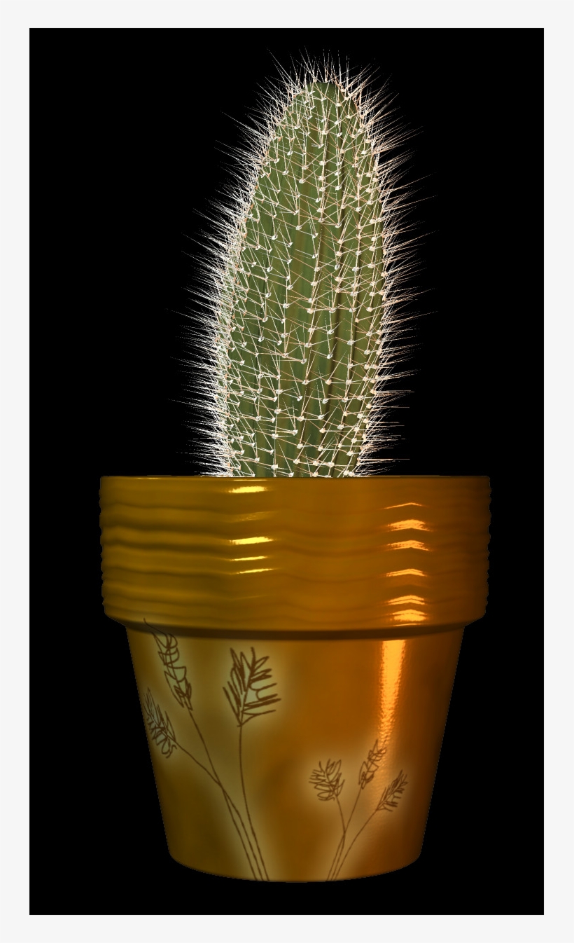 All Our Pngs Are Free To Download And Use - Large-flowered Cactus, transparent png
