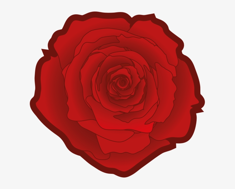 Red Rose - Garden Roses, transparent png
