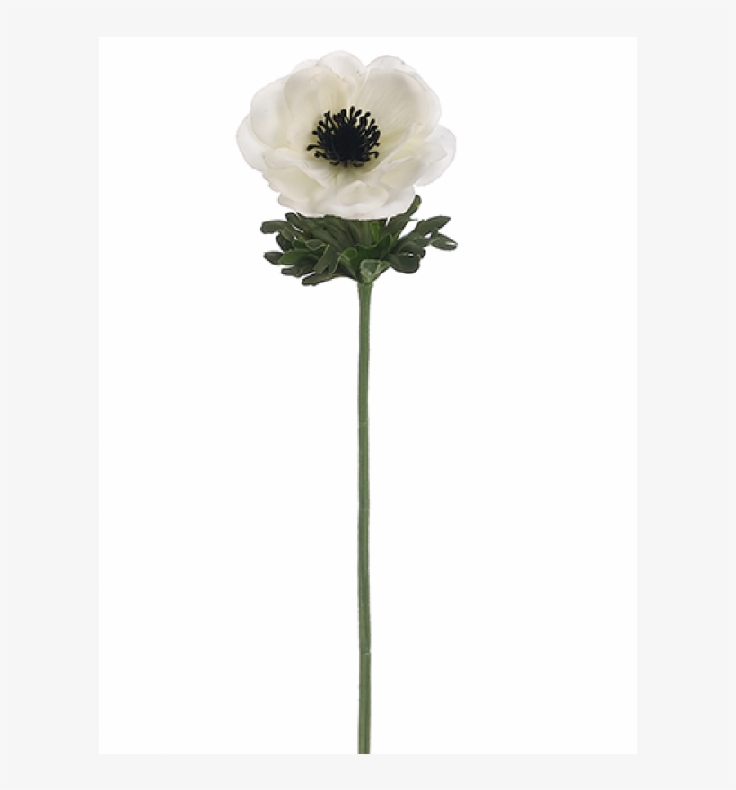 14" Real Touch Anemone Spray White - White Anemone Flower Png, transparent png