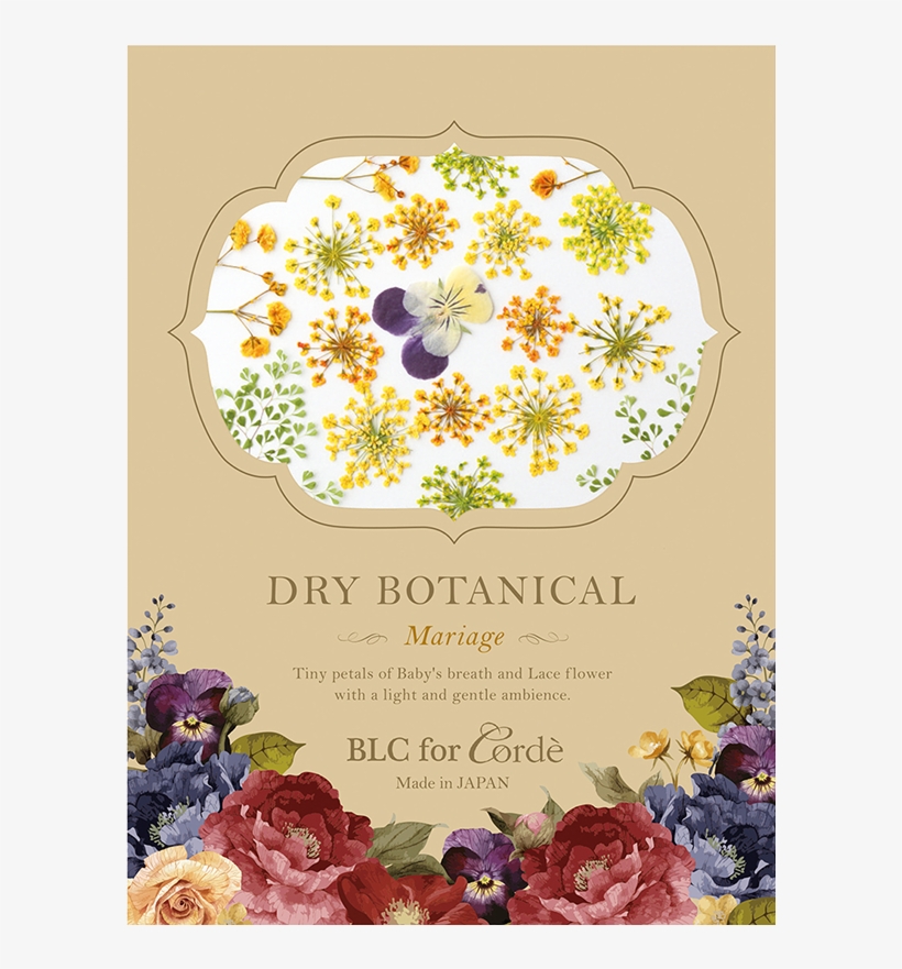 Garden Roses, transparent png