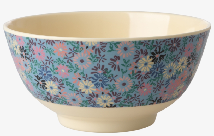 Bowl, transparent png