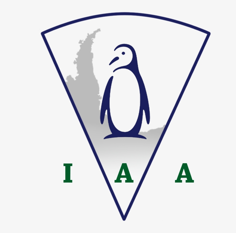 Instituto Antartida Argentina - Adã©lie Penguin, transparent png