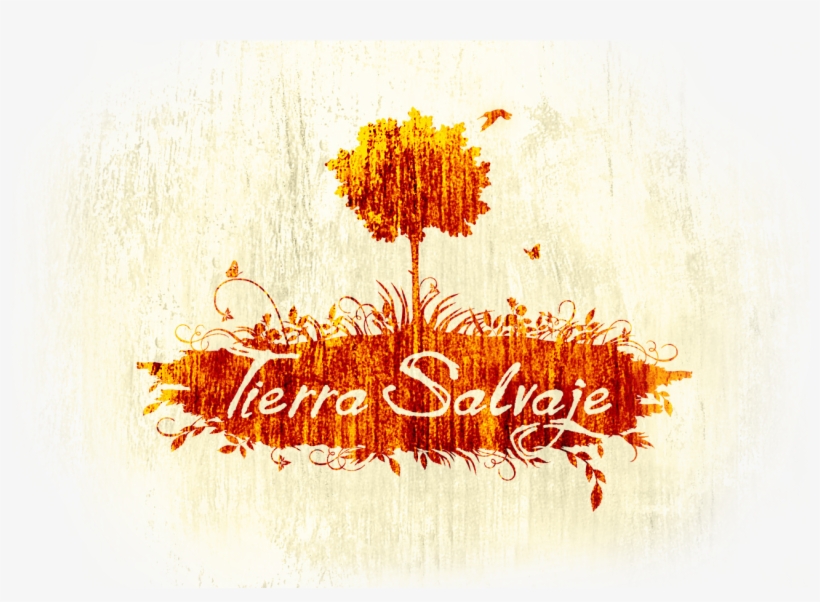 Tierra Salvje - Calligraphy, transparent png