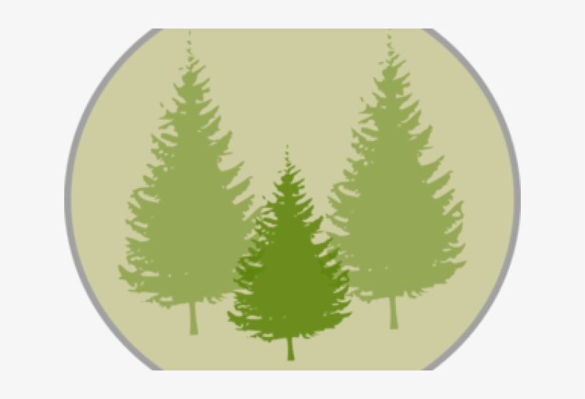 Pine Tree Clipart Png Black And White, transparent png
