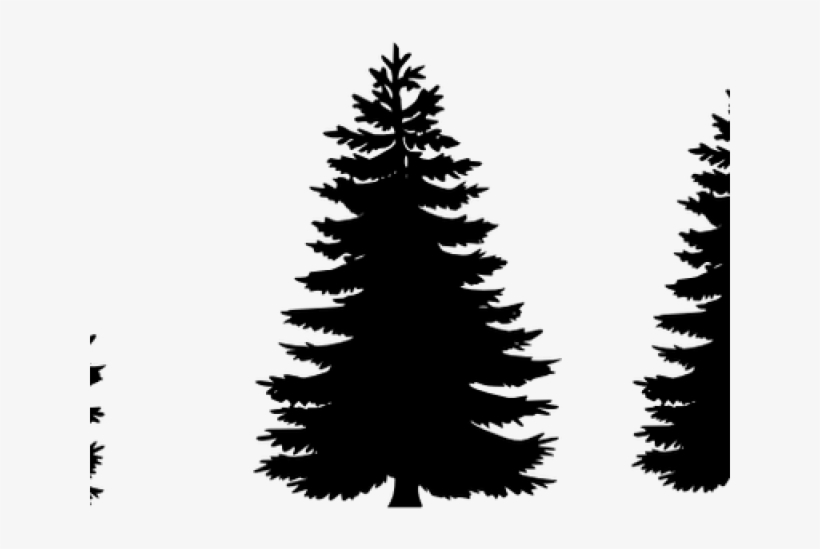 Pine Tree Clipart Realistic - Pine Tree Vector Png, transparent png