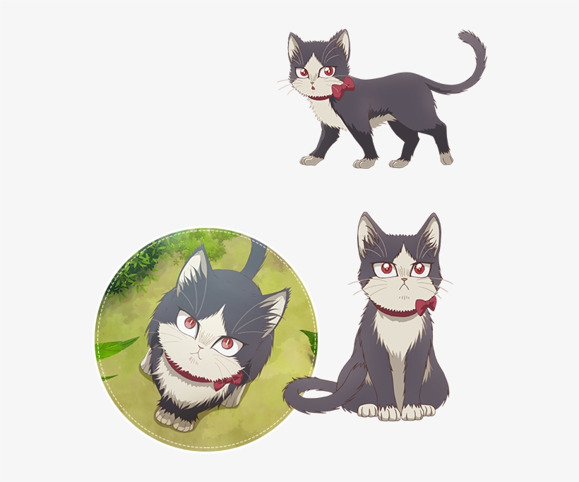 Https - //rei - Animecharactersdatabase - Com/uploads/chars/18137- - My Roommate Is A Cat Haru, transparent png