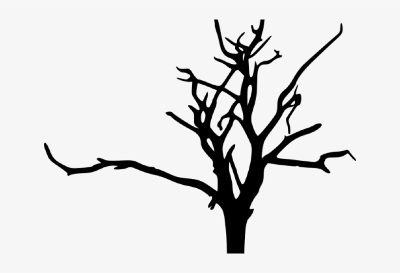 Branch Clipart Tree Bark - Branch Tree Silhouette, transparent png