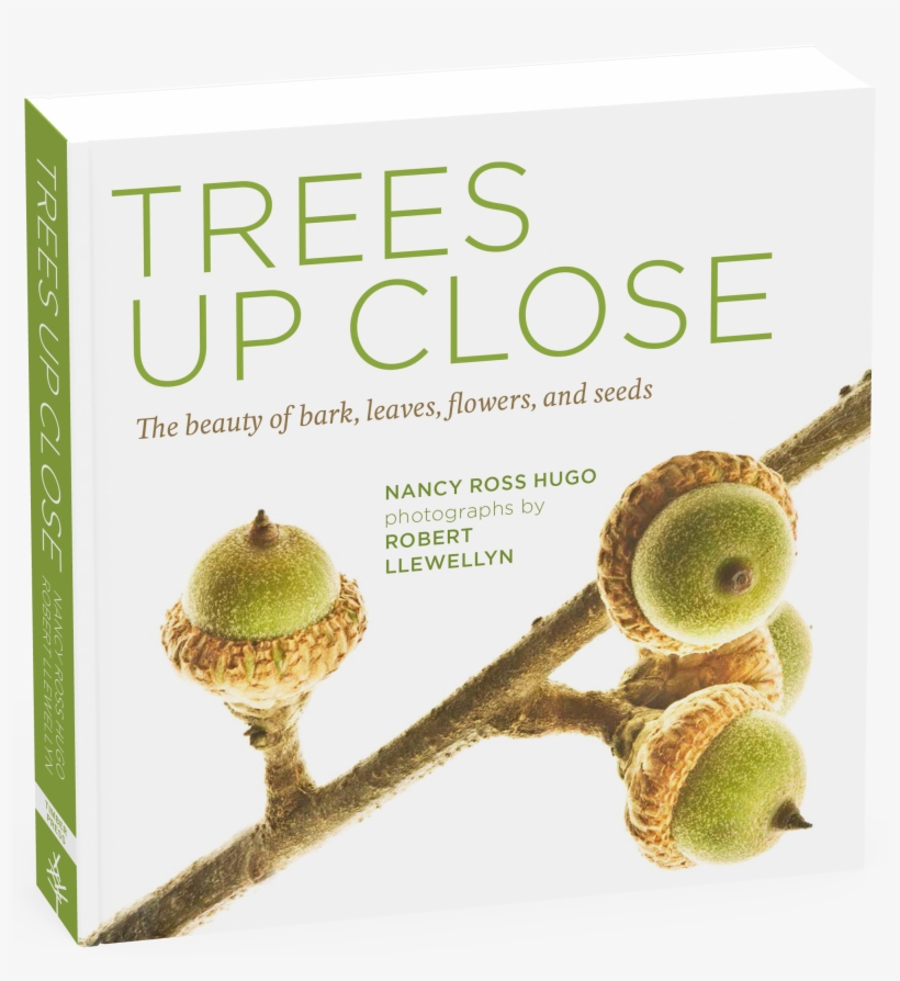 Nancy Ross Hugo, transparent png