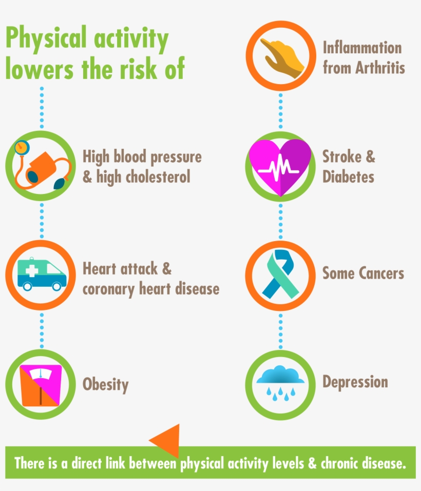 Walking And Other Forms Of Physical Activity Help To - Benefits Of Walking For Seniors, transparent png