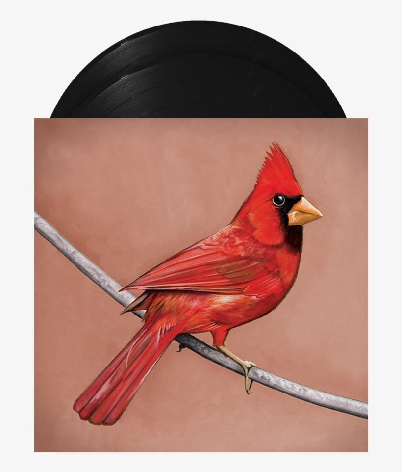 Alexisonfire Old Crows Young Cardinals, transparent png