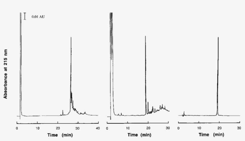 Three Chromatography Steps Of Purification Of The Synthetic - Boat, transparent png