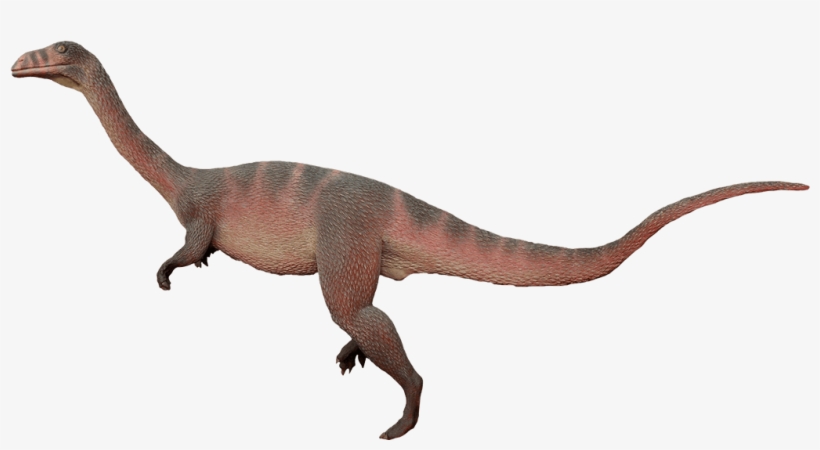 Trackmaker Of The Evazoum Footprint - Moabgiants Com Dinosaurs Png, transparent png