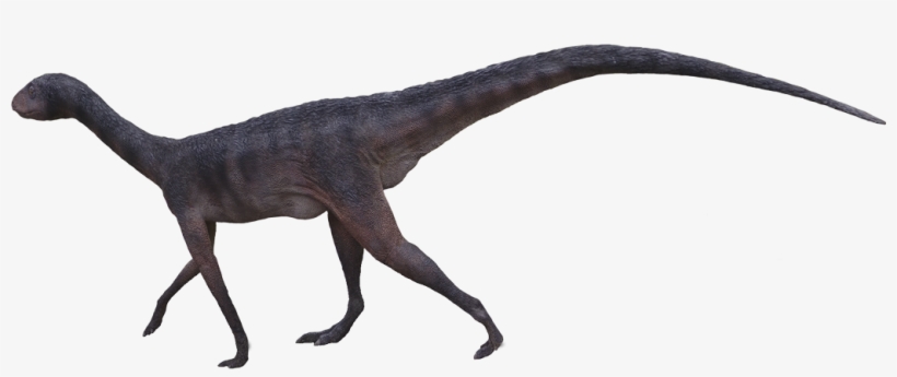 Trackmaker Of The Atreipus Footprint - Dinosaurs Png Moab Giants, transparent png