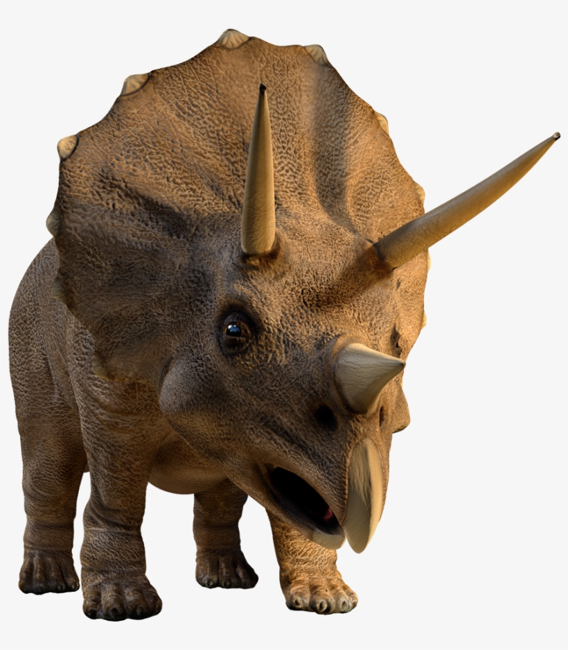Facts About Triceratops, transparent png