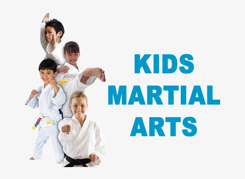 Our Programs - Karate Boy, transparent png